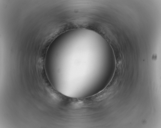 X0000091300772200708172208