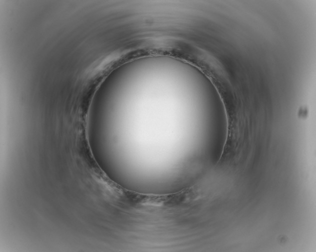 X0000091300773200708172208