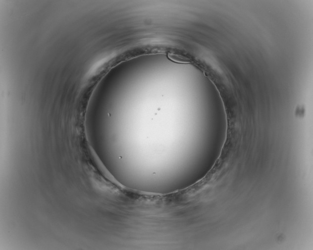 X0000091300775200708172208