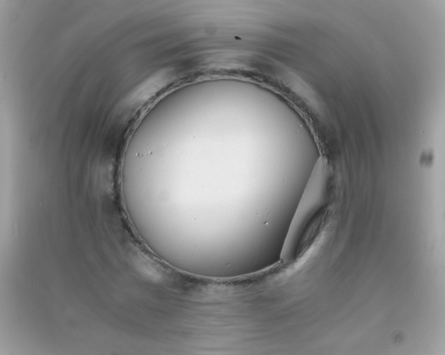 X0000091300777200708172208