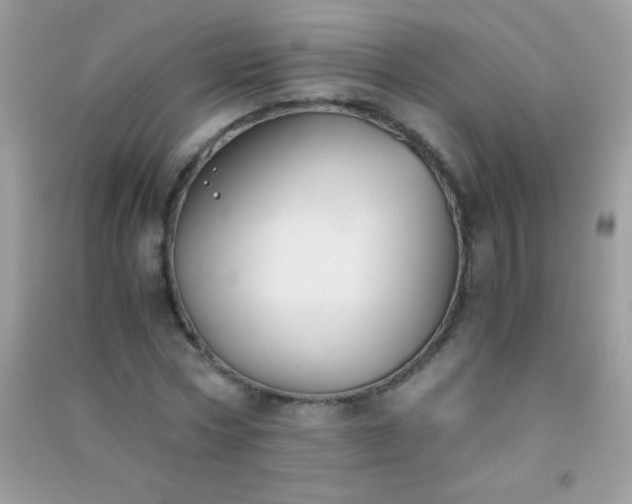 X0000091300778200708172208