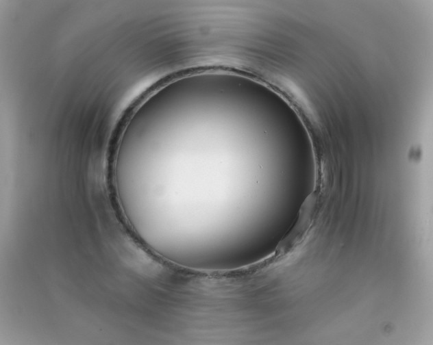 X0000091300780200708172208