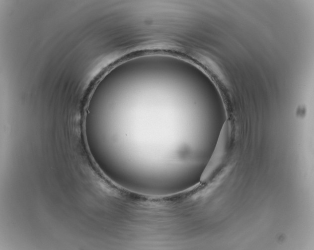 X0000091300781200708172208