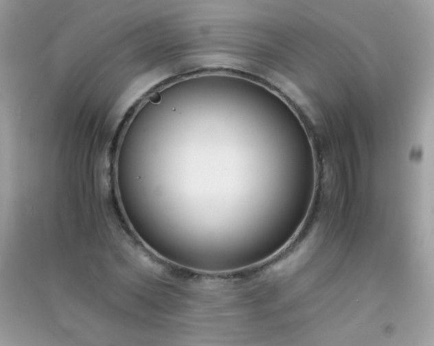 X0000091300782200708172208