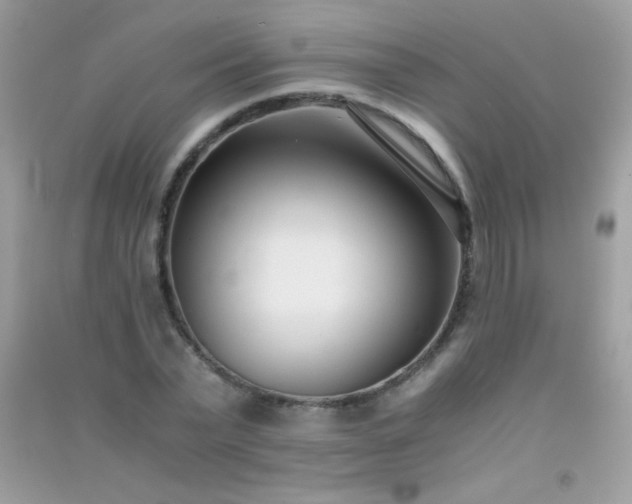 X0000091300783200708172208