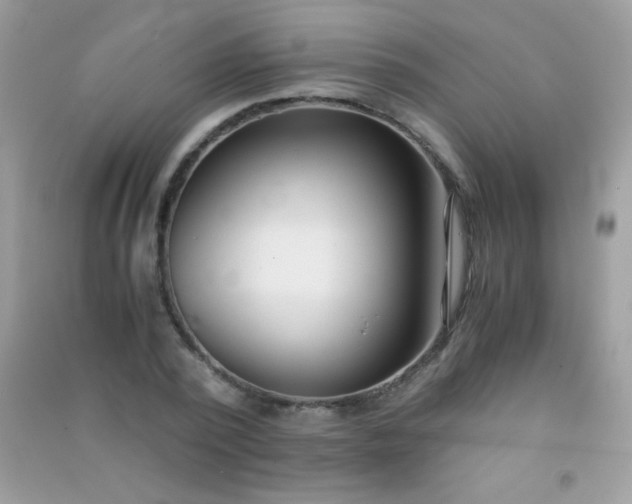 X0000091300784200708172208