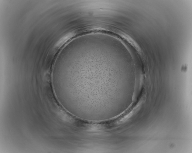 X0000091300785200708172208