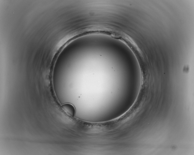 X0000091300786200708172208