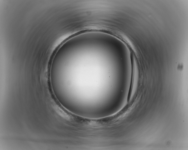 X0000091300787200708172208