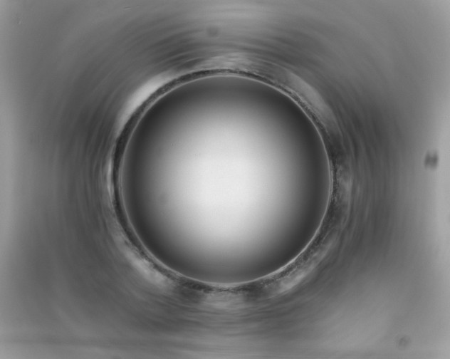 X0000091300788200708172208