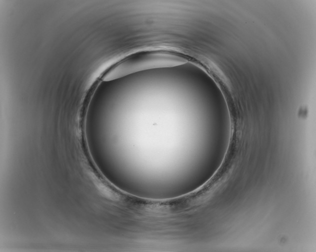 X0000091300789200708172208