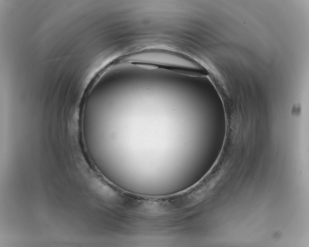 X0000091300790200708172208