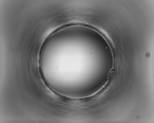 X0000091300791200708172208