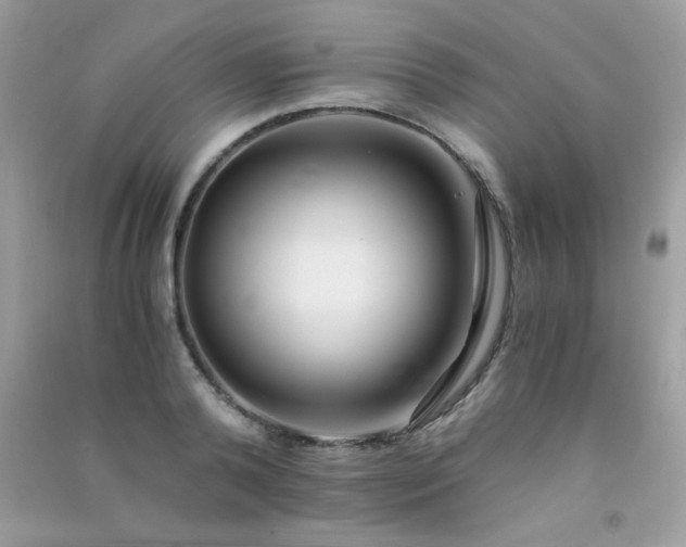 X0000091300792200708172208