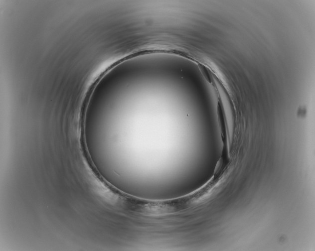 X0000091300795200708172207