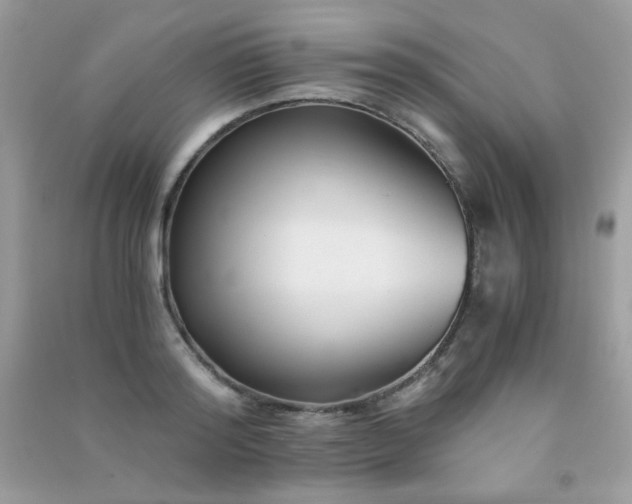 X0000091300796200708172207