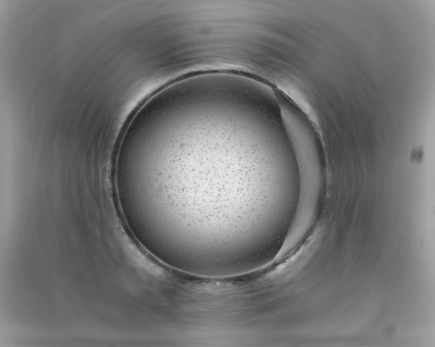 X0000091300797200708172207