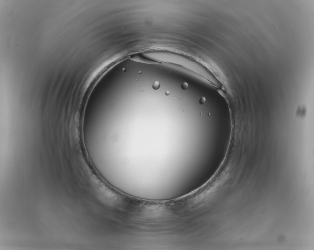 X0000091300798200708172207