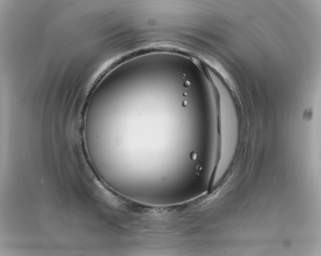 X0000091300799200708172207