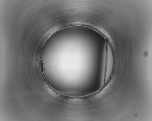 X0000091300801200708172207