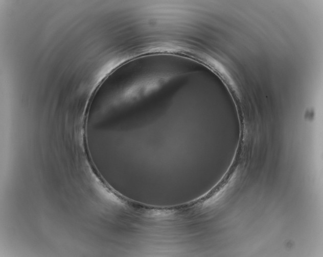 X0000091300802200708172207