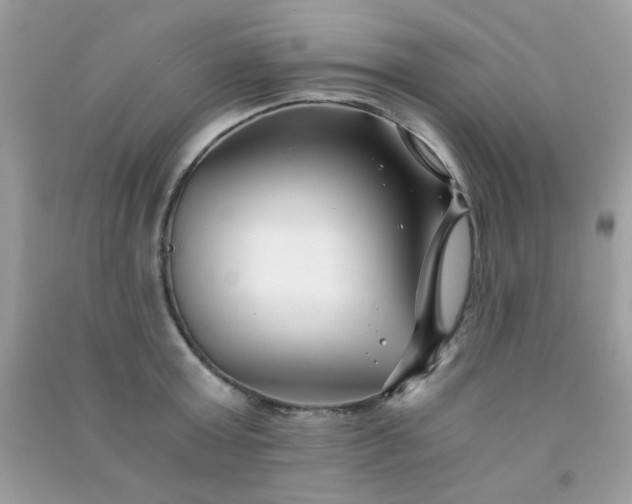 X0000091300803200708172207