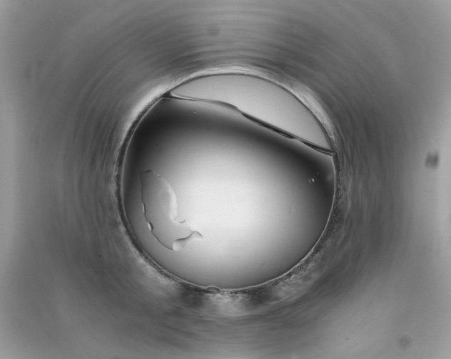 X0000091300805200708172207