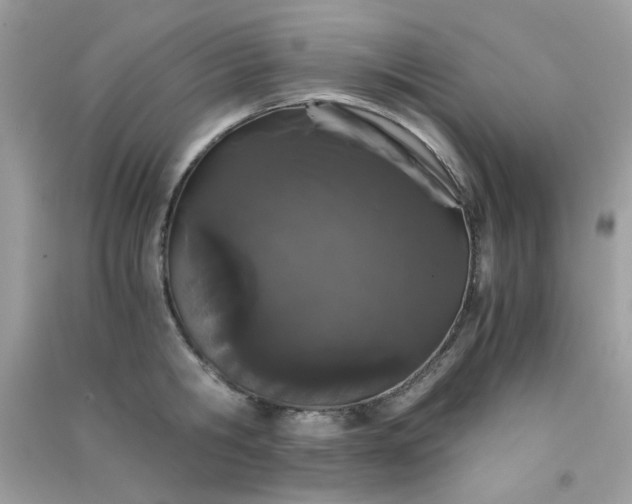 X0000091300806200708172207