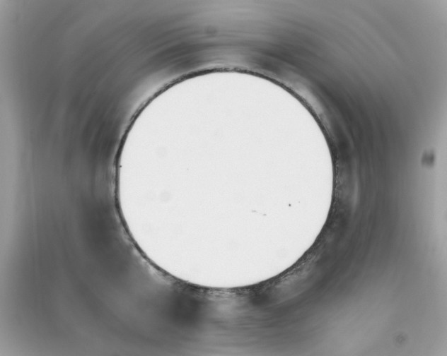 X0000091300807200708172207