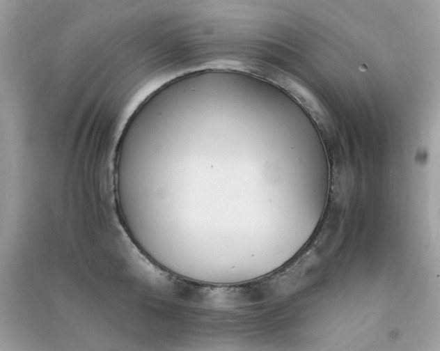 X0000091300808200708172207