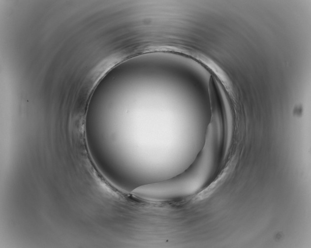 X0000091300809200708172207