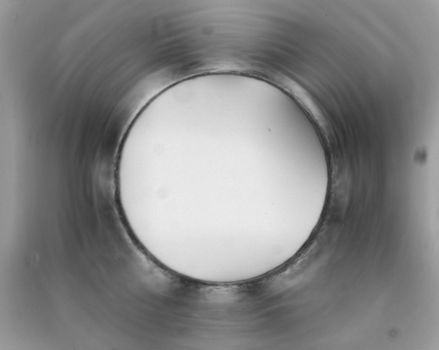 X0000091300810200708172207