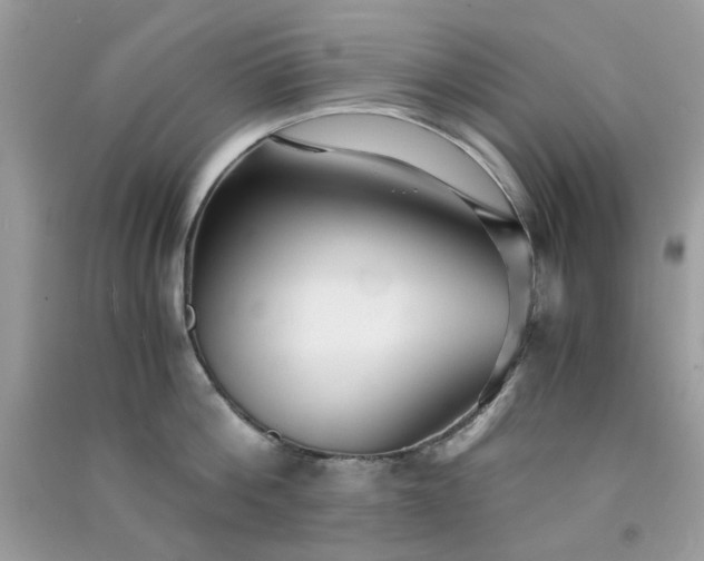 X0000091300812200708172207