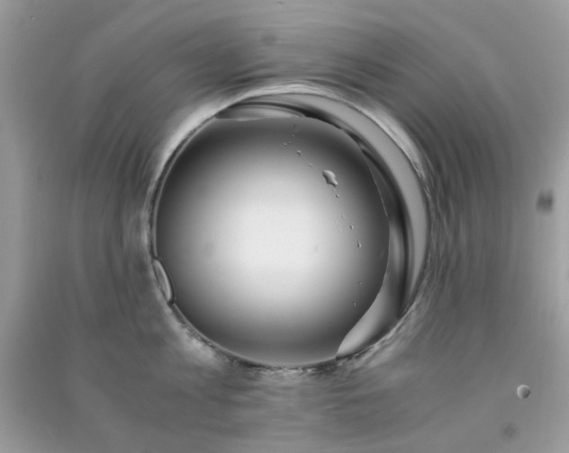 X0000091300813200708172207