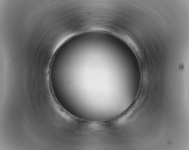 X0000091300814200708172207