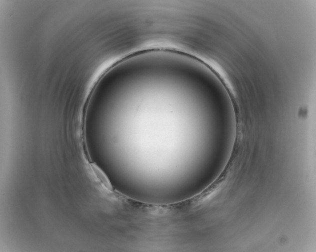 X0000091300815200708172207