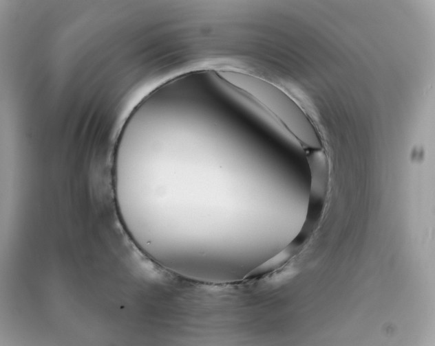 X0000091300816200708172207