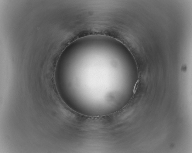 X0000091300817200708172206