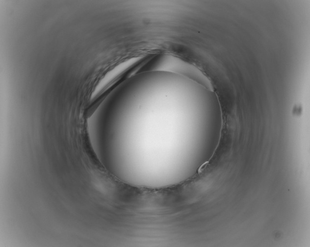 X0000091300818200708172207