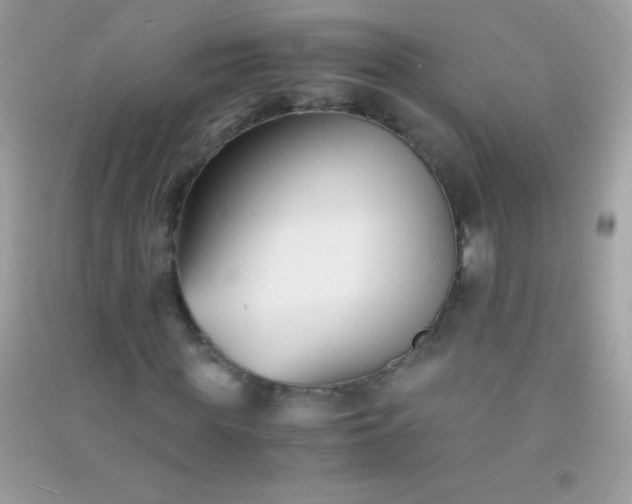 X0000091300819200708172207