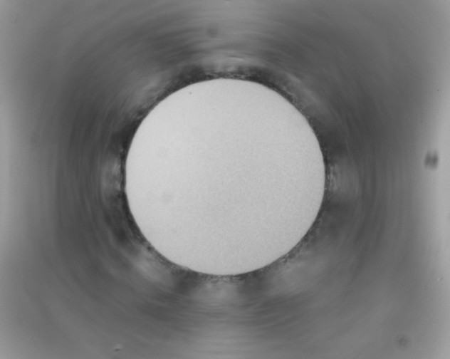 X0000091300820200708172207