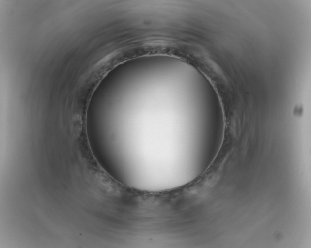 X0000091300821200708172207