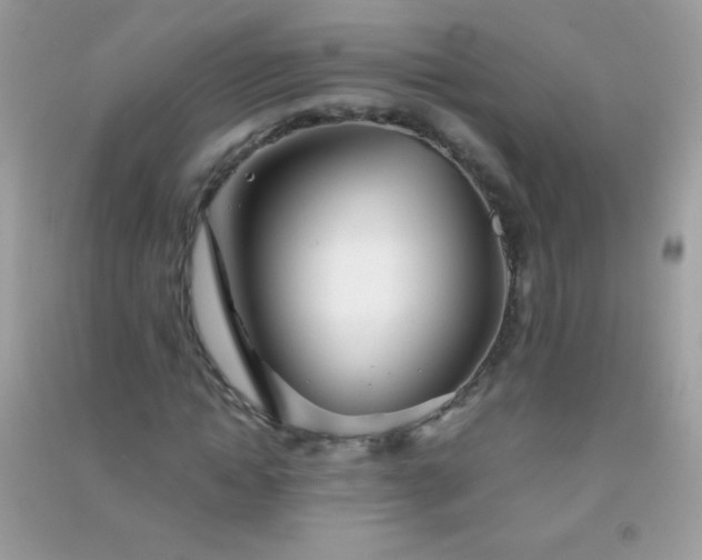 X0000091300822200708172207