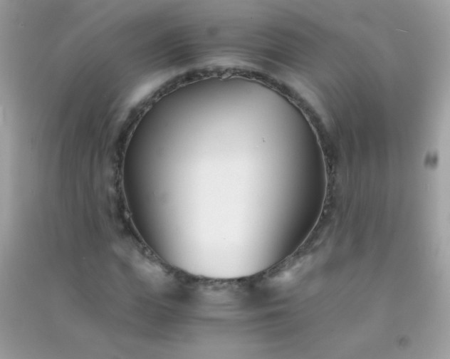 X0000091300823200708172207