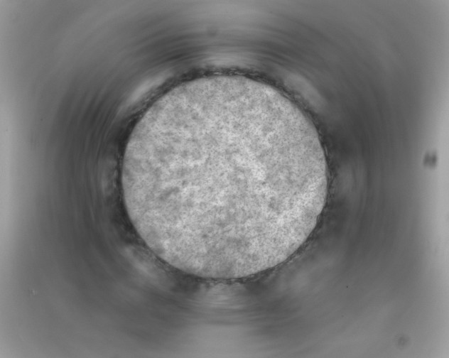 X0000091300824200708172207