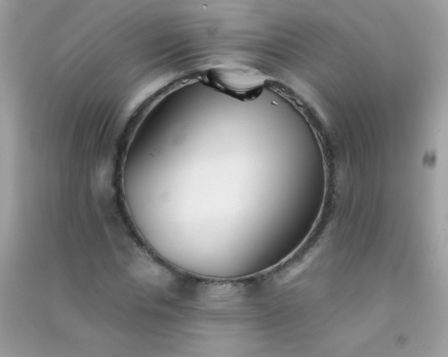 X0000091300826200708172207