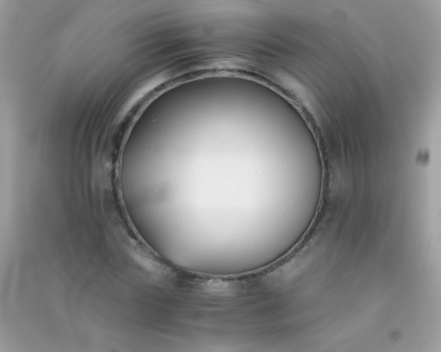 X0000091300827200708172207