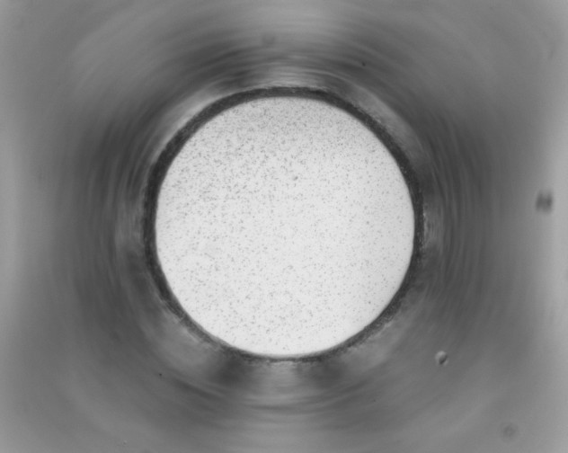 X0000091300828200708172207