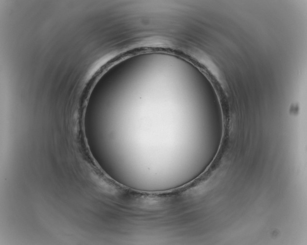 X0000091300829200708172207