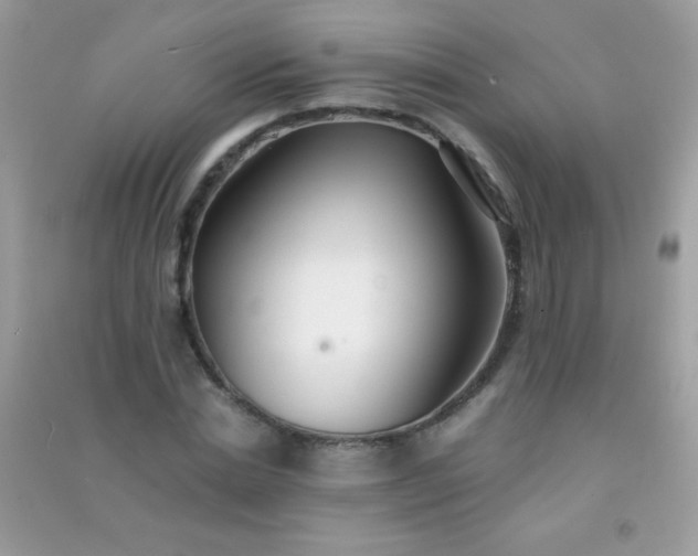 X0000091300830200708172207